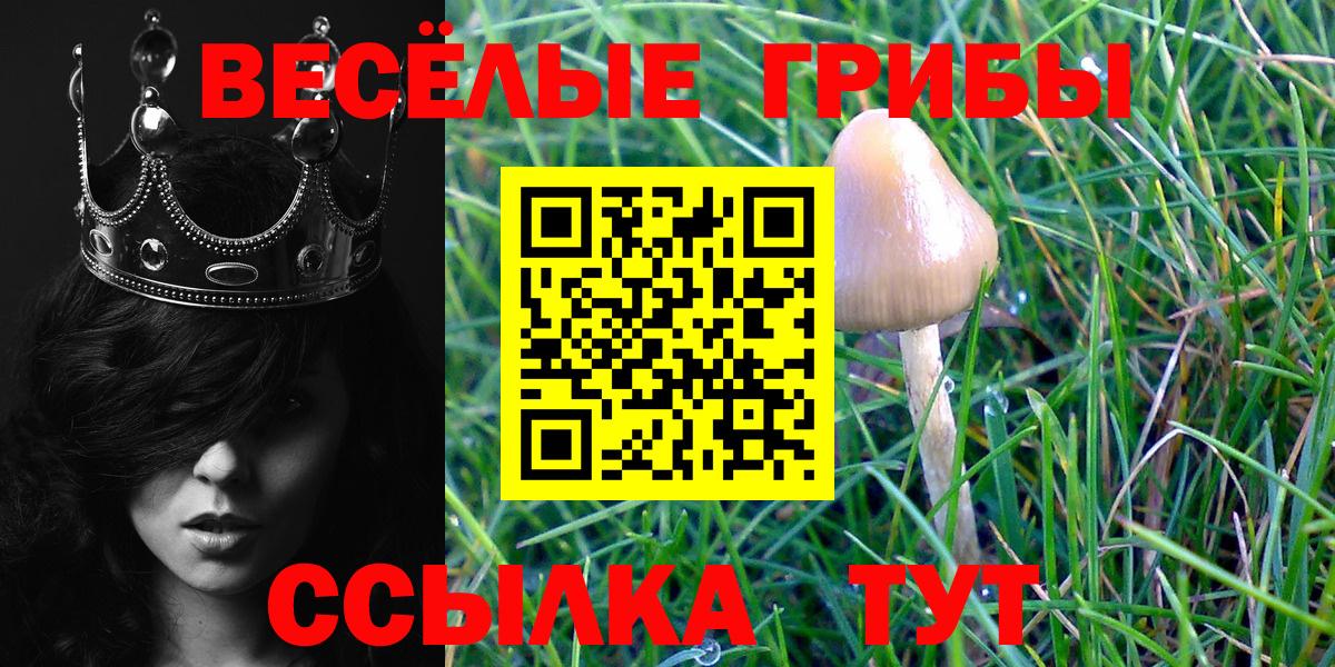 Галлюциногенные грибы прущие грибы Михайловка