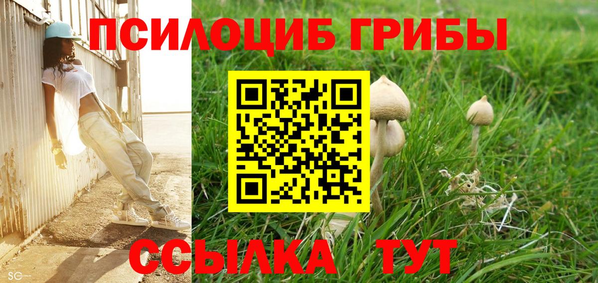 Галлюциногенные грибы Cubensis  Вход с VPN  Галлюциногенные грибы GOLDEN TEACHER  Михайловка 